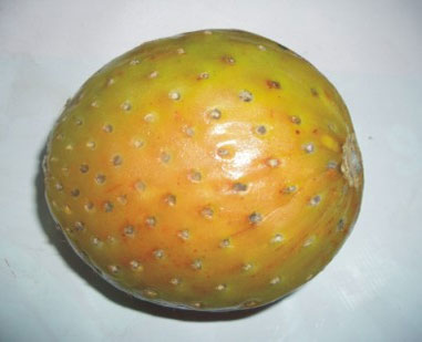 Sancayo fruta